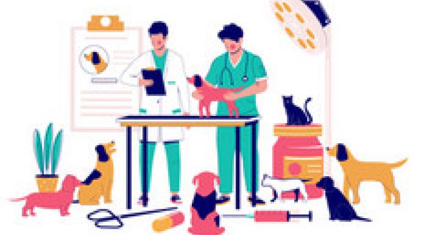 vetclinic